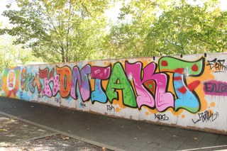 IMG_9176 neu.jpg
